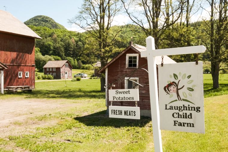 Scott signs Vermonters Feeding Vermonters grant program into law