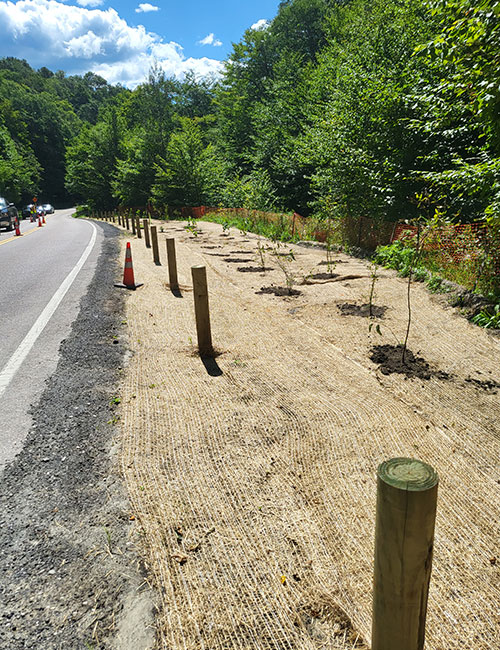 Photo: Smugglers' Notch project focuses on protecting natural resources byrelocating popular ‘bootleg’ parking areas to formal parking areas designed with storm-water management. Courtesy photo.