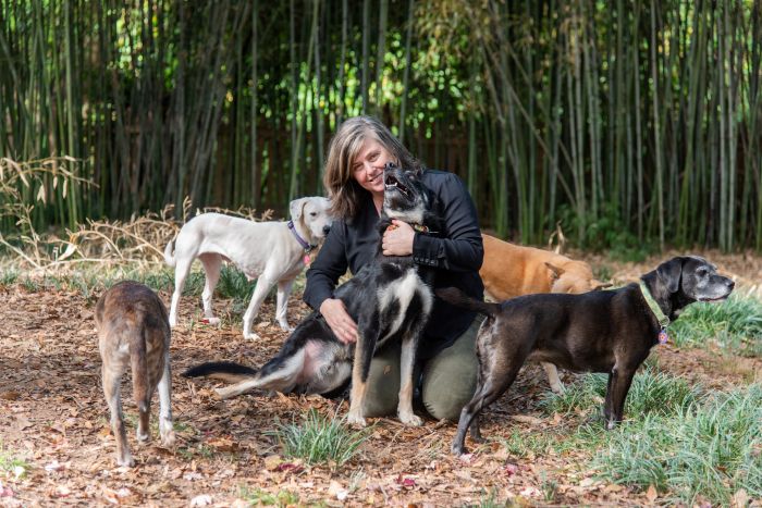 Department of Public Safety has selected Lisa Milot to lead the newly created Division of Animal Welfare. 