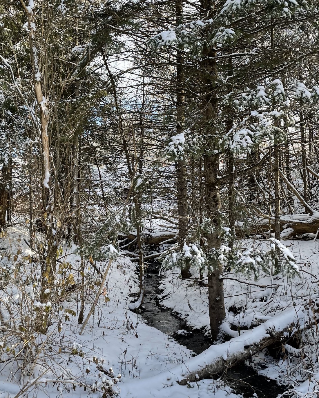 DEC: Vermonters asked to report yearly large groundwater withdrawals