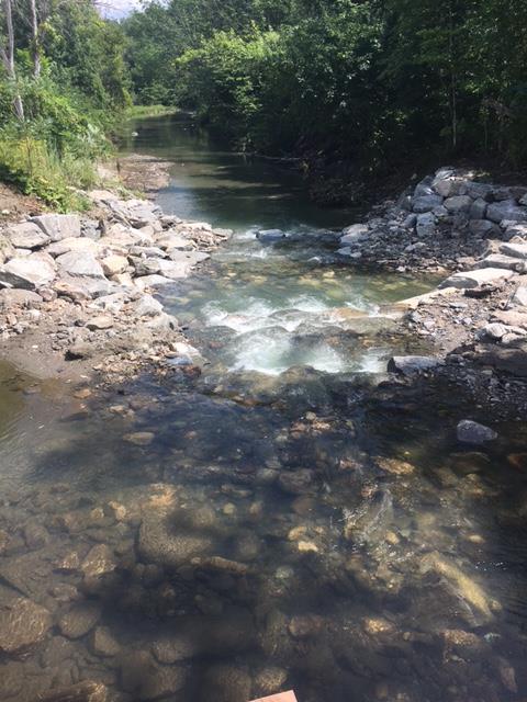 Vermont Watershed Grants Program