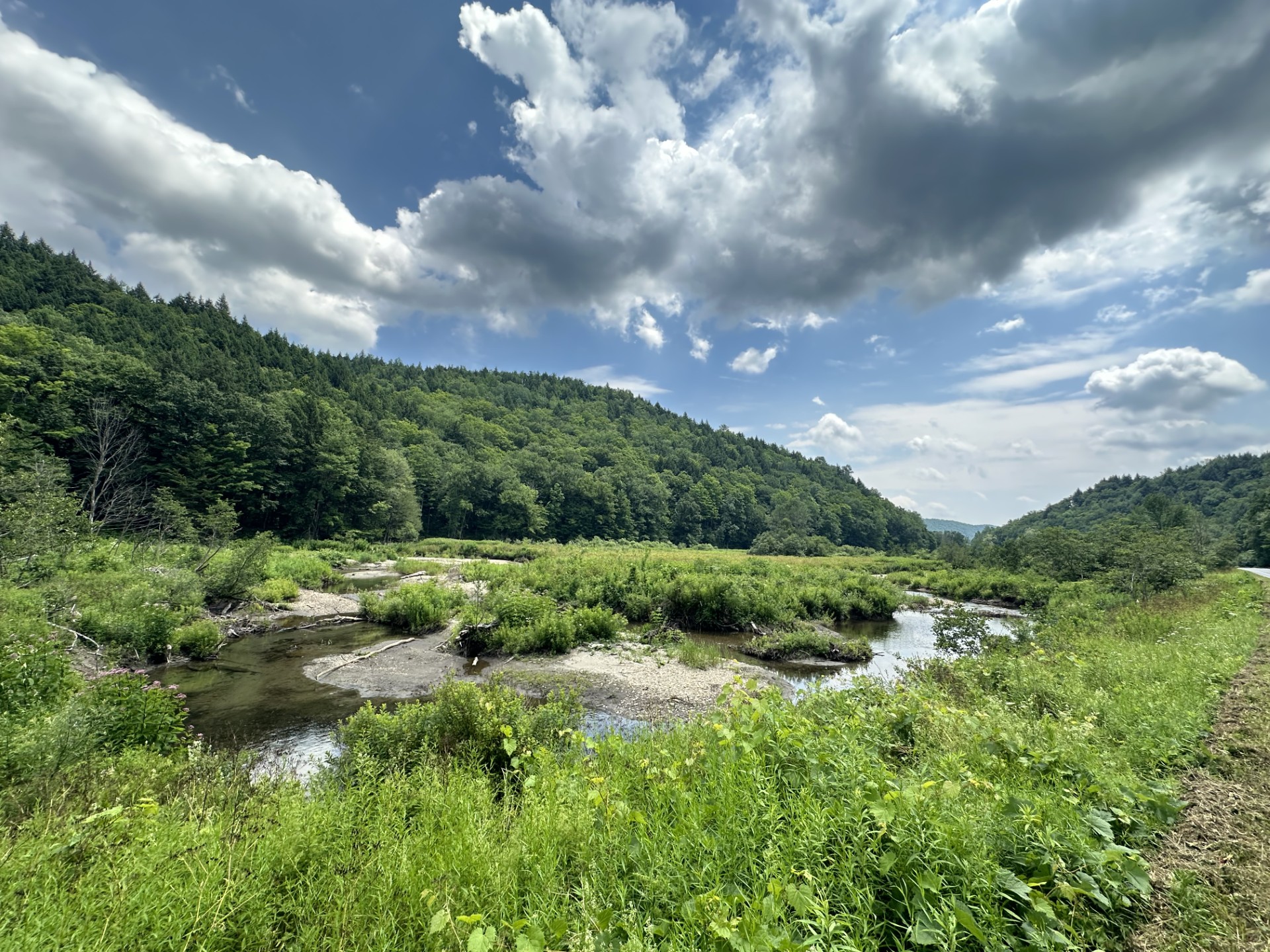 Alder Meadow Brook, photo by Gunnar Nurme