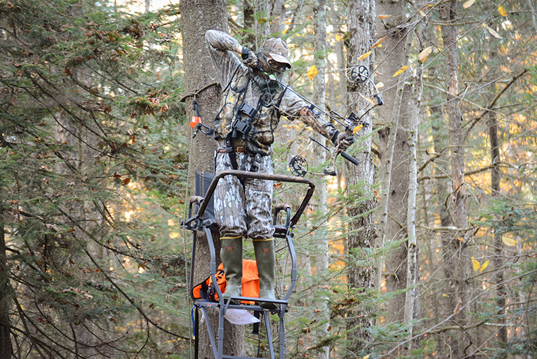 Photo: Vermont’s archery deer season starts Wednesday, October 1. VTF&W photo.