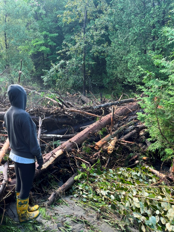 A small stream off the Plainfield Brook Road in Barre turned into a raging, debris-filled river.