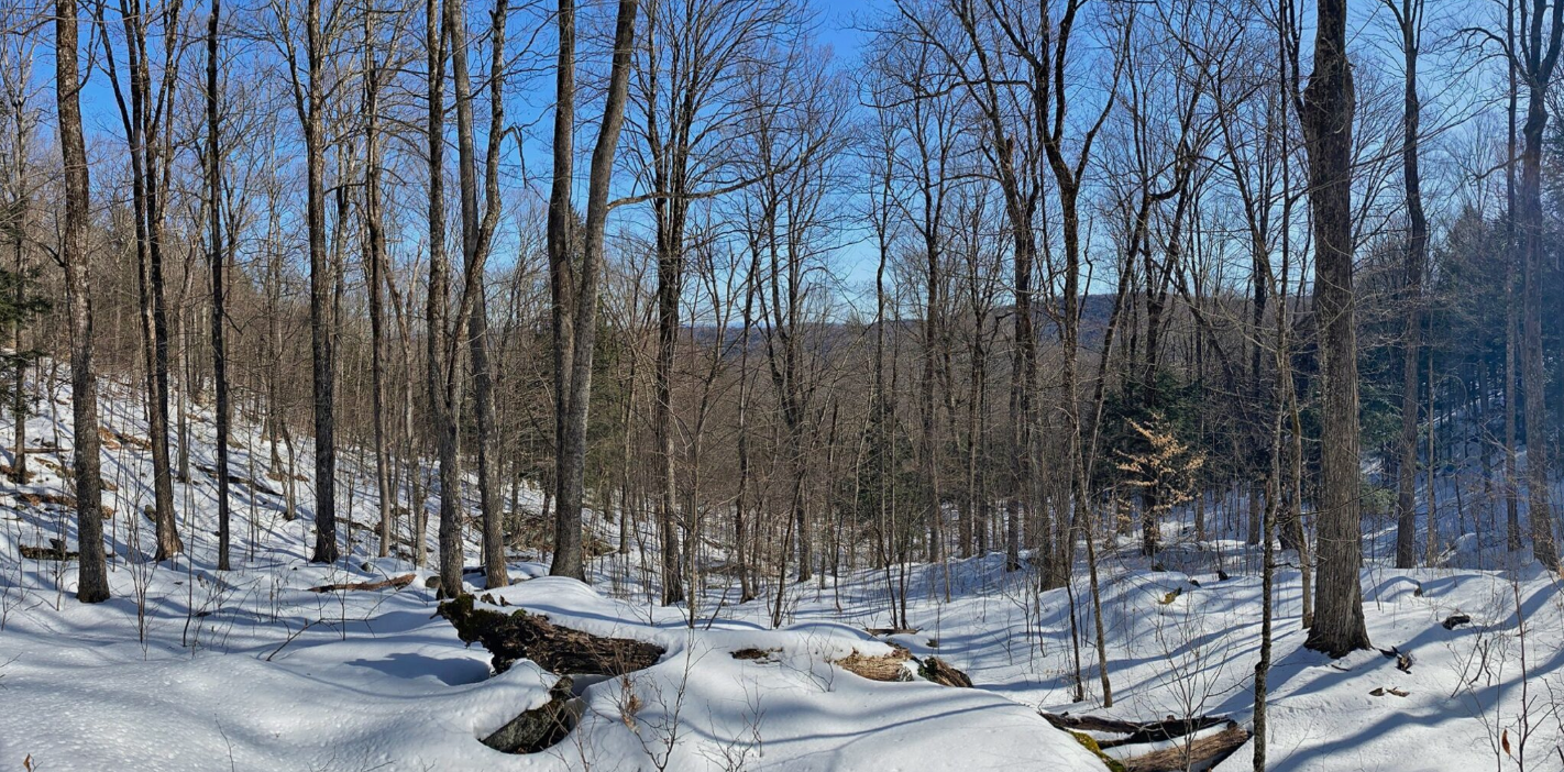 Bull Creek Common Lands