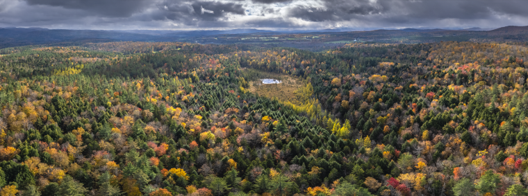 Chickering Bog on the border of East Montpelier and Calais by James McNamara