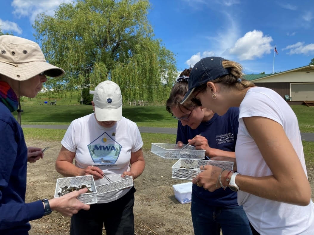 Volunteers at Vermont Invasive Patrollers for Animals field survey training. 