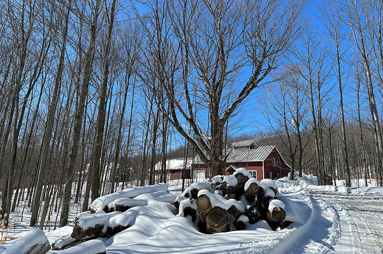 Photo: While Canada produces the most maple syrup in the world, Quebec production requirements keep prices artificially high. This has benefitted Vermont producers who don’t have production limits and can sell at a relatively high price against the prices set  in Canada.   Photos courtesy Scott Waterman, VAAFM.