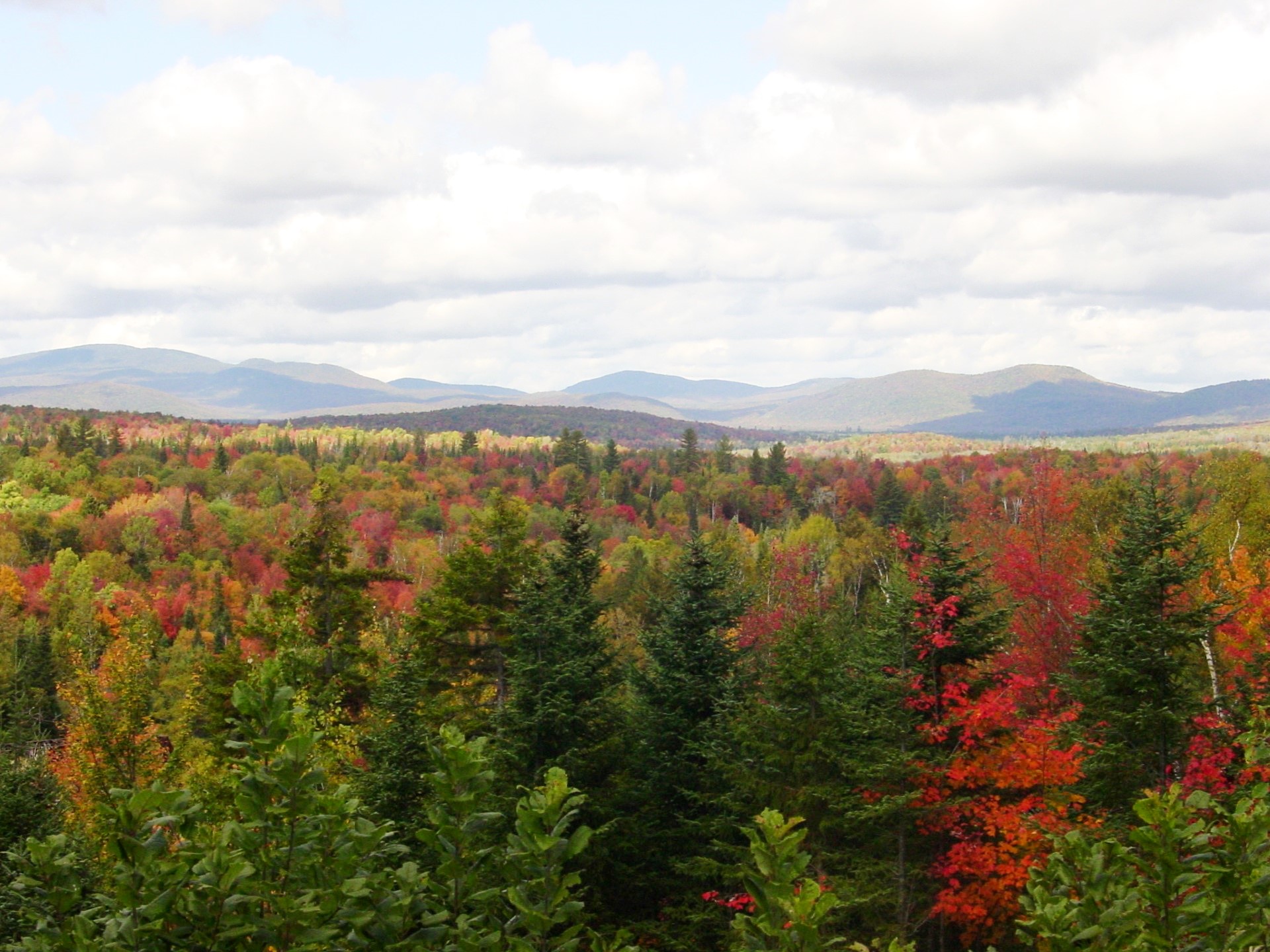 Photo courtesy The U.S. Fish and Wildlife Service