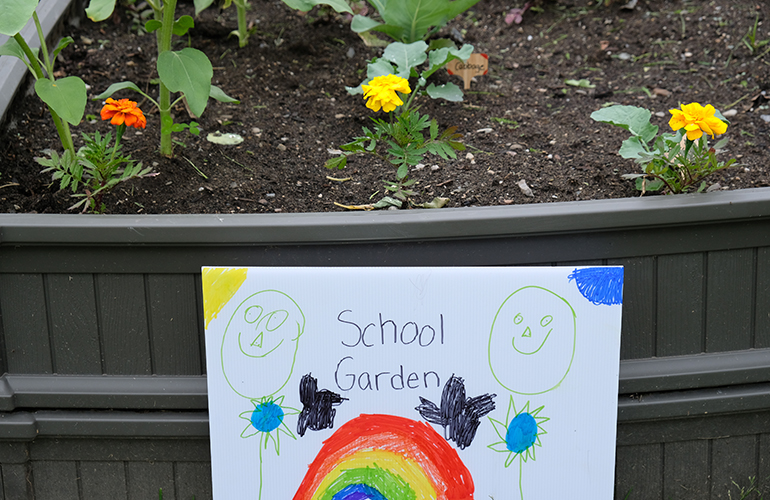 Photo: Cultivating pathways to sustainability. Courtesy photo.