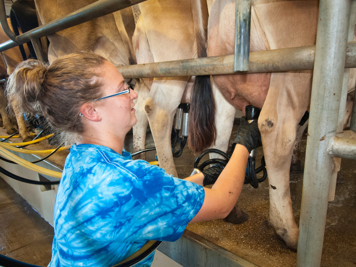Photo: Dairy farmer. Courtesy photo.