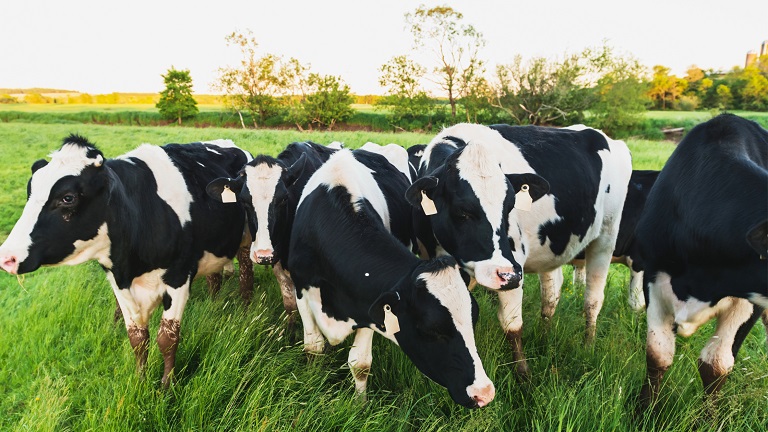 The USDA is granting $3.45 million to the Northeast Dairy Business Innovation Center (NE-DBIC)