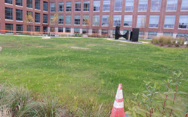 Measures may also include reaching final stabilization of a construction site before October 15 with 70% or more grass cover and limits of disturbance installed around the newly established area.&nbsp; 
