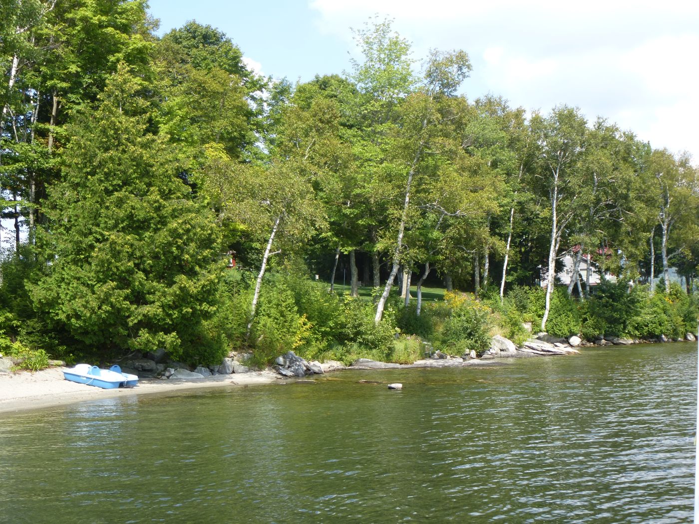 Healthy lakeshores provide wildlife habitat, reduce erosion, and protect water quality.