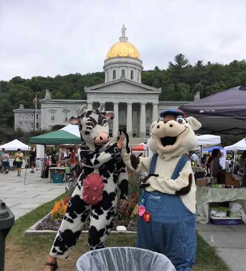 A waste sort station at an event in 2016 on the State House lawn in Montpelier.