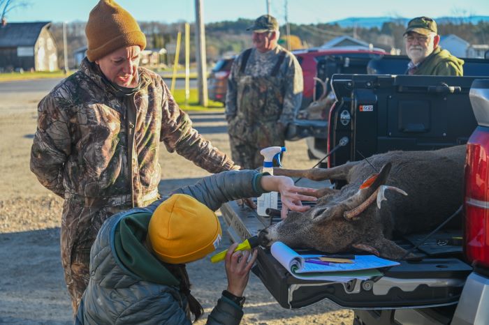 Hunters Took More than 17,000 Deer in 2024
