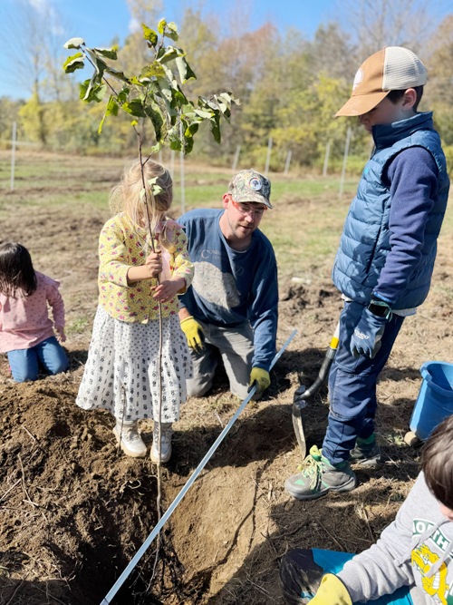 Red Fox Community School students plant persimmon trees at Smokey House Center