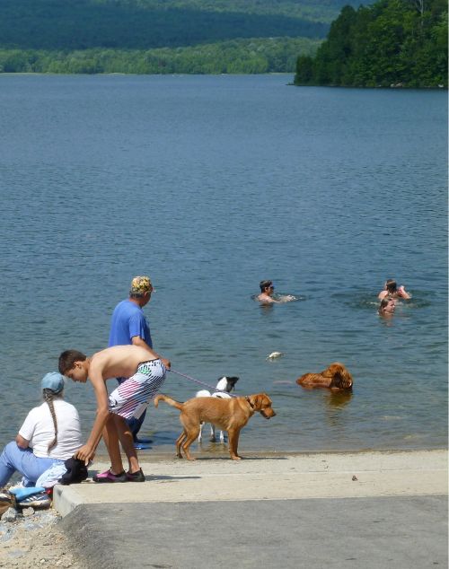 Fires and swimming are prohibited at fishing access areas