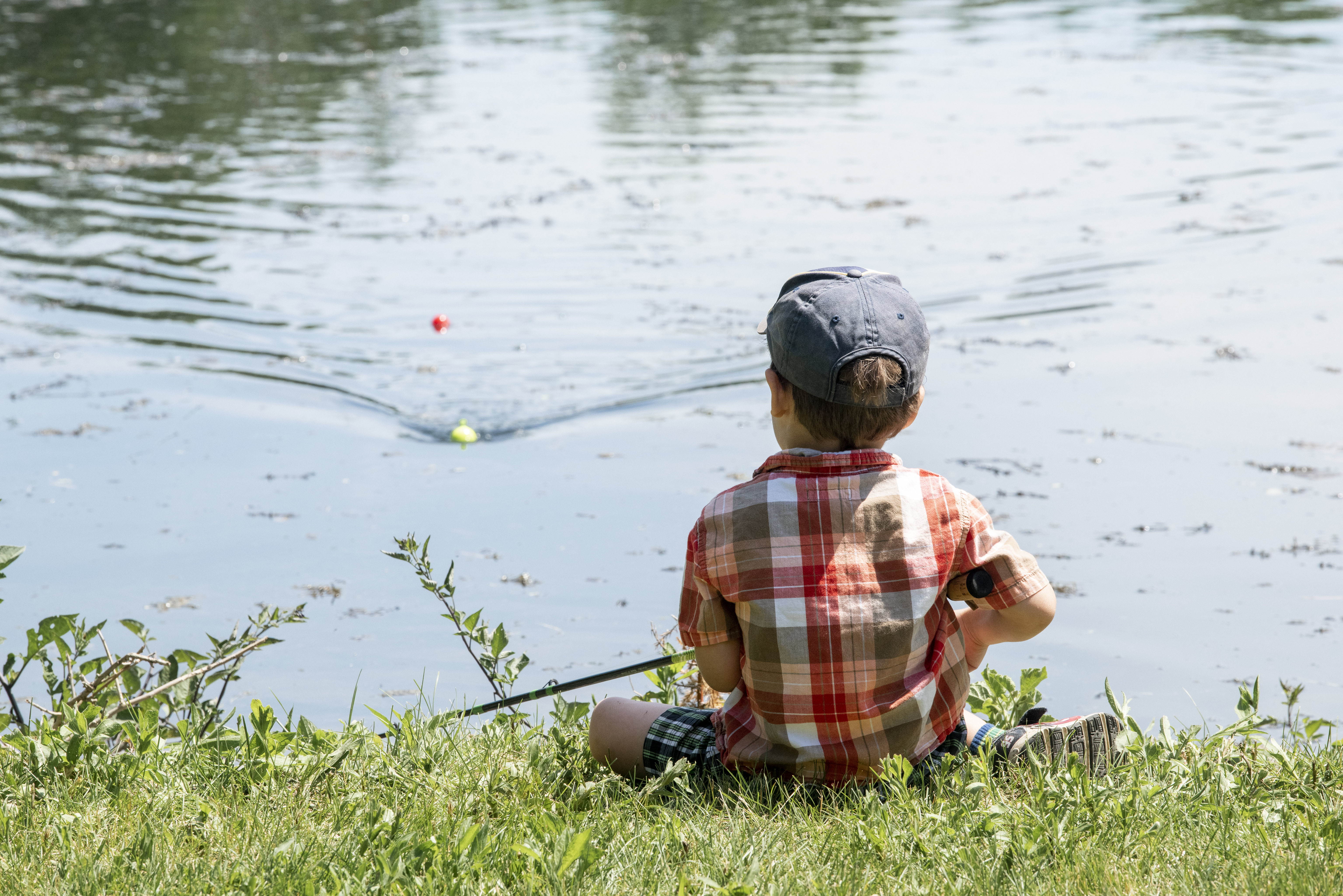 Free Fishing Day by Dan Lovell