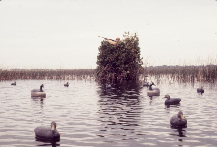 Vermont 2024 migratory game bird hunting information can be downloaded from the Vermont Fish & Wildlife Department website