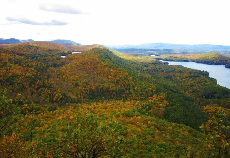 The Green Mountain National Forest. Vermont