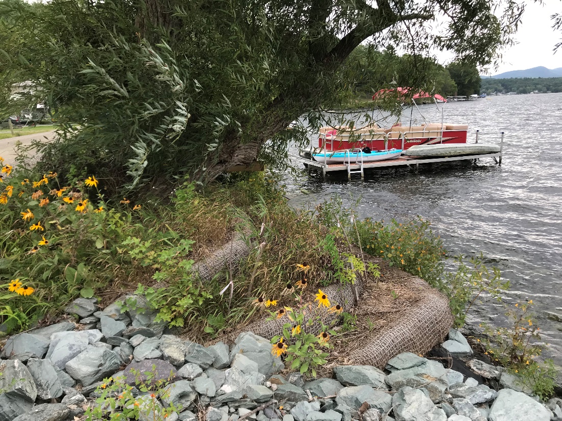 A shoreland property owner used a best management practice for encapsulated soil lifts to reduce erosion and stabilize the shoreline along Lake Bomoseen. DEC