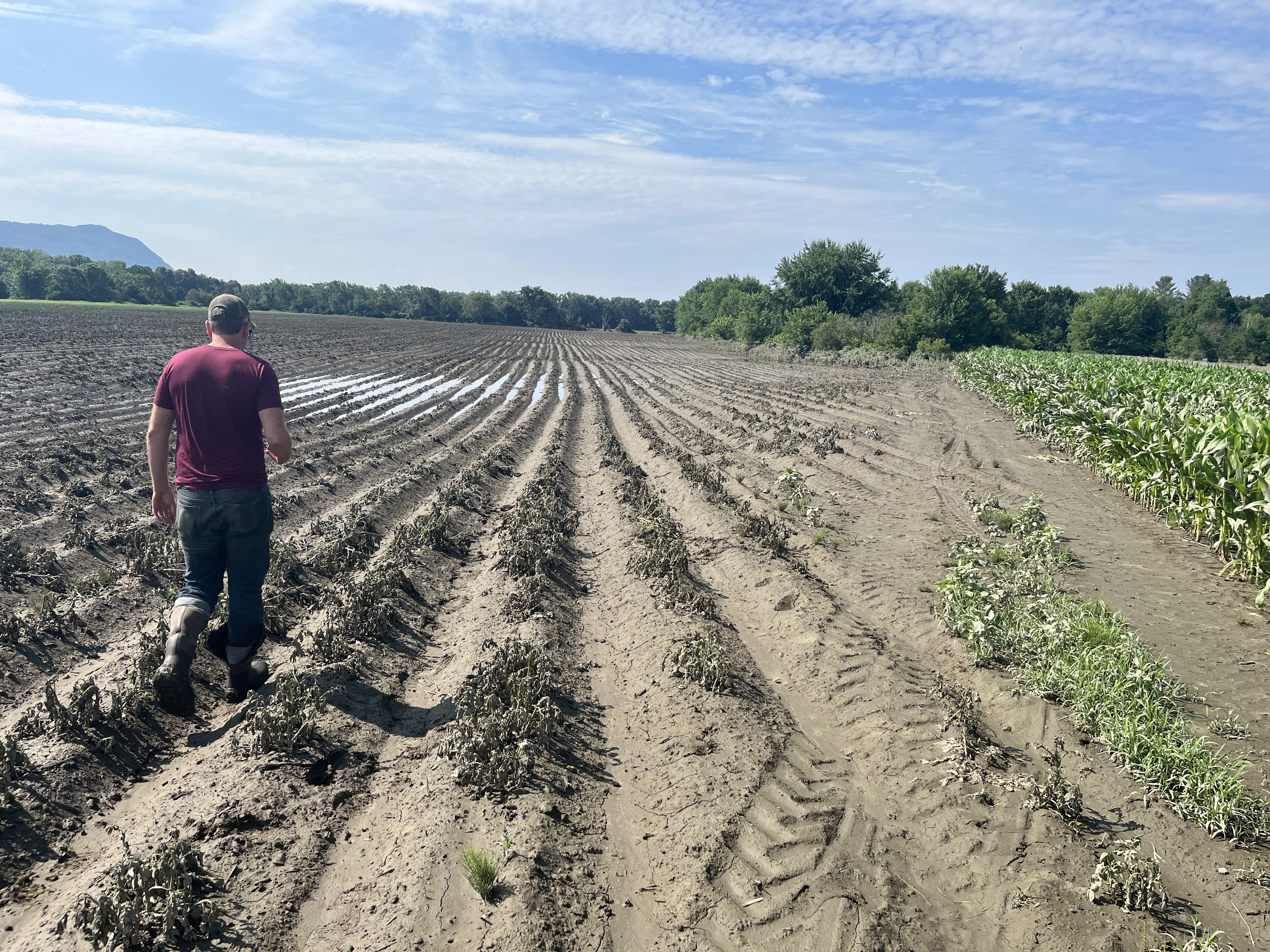 Farms affected by July 2024 flooding are asked to complete a Flood Impact survey to  capture loss and damage to agricultural community. Vermont farms.