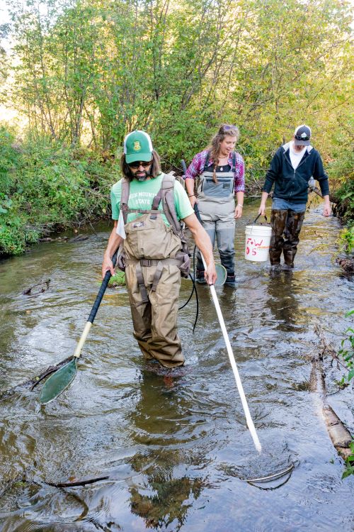 Vermont Fish and Wildlife Department and Memphremagog Watershed Association staff use electro-fishing gear to collect data on trout in the Johns River.
