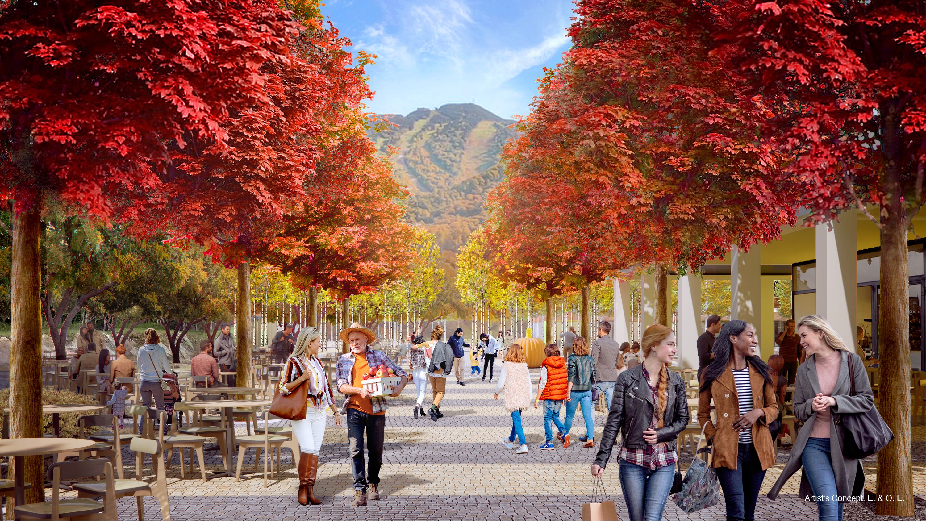Killington Pedestrian Walkway.