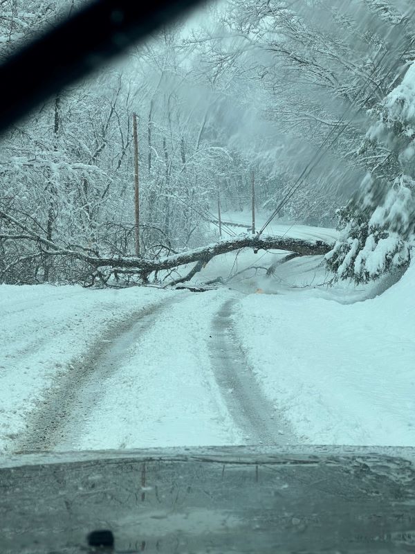 A downed powerline in Pomfret. GMP photo.