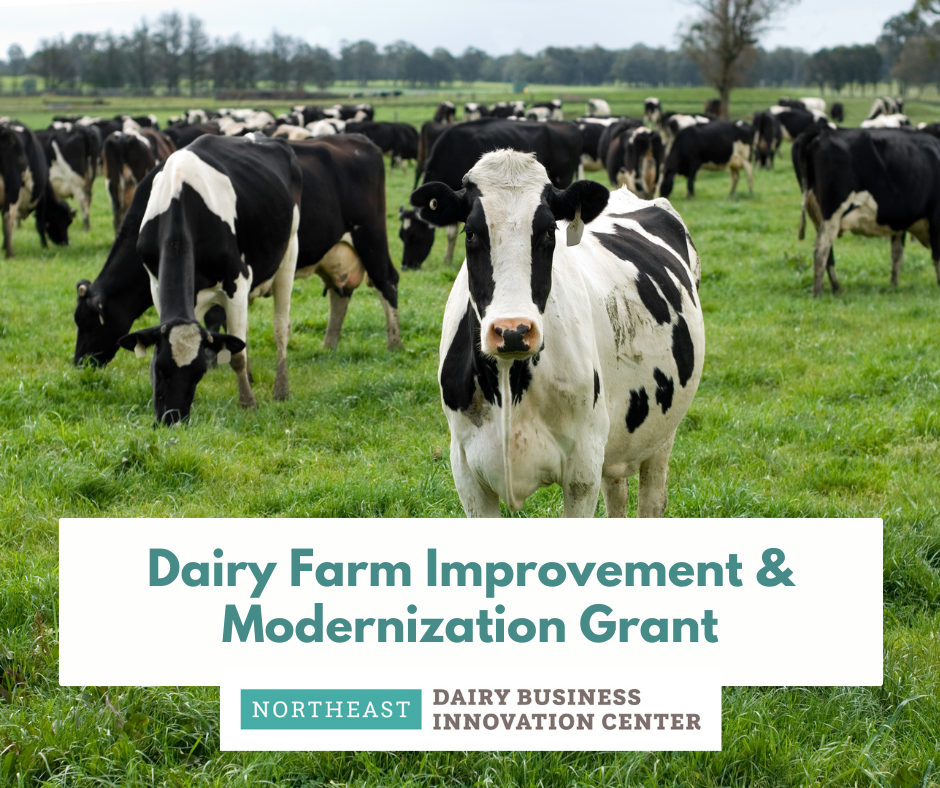 $750,000 for dairy farms to boost long-term success