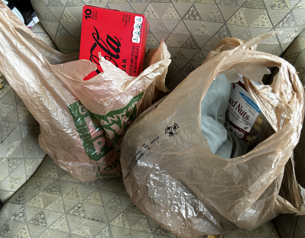 Vermont plastic bag use dropped 91% following ban