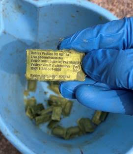 Distribution of rabies vaccine bait will begin May 4
