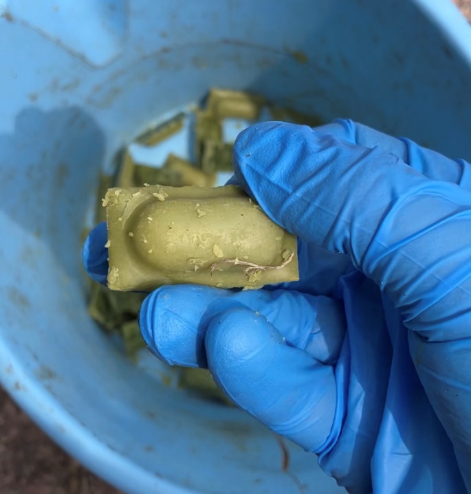 Distribution of rabies vaccine bait will begin May 4