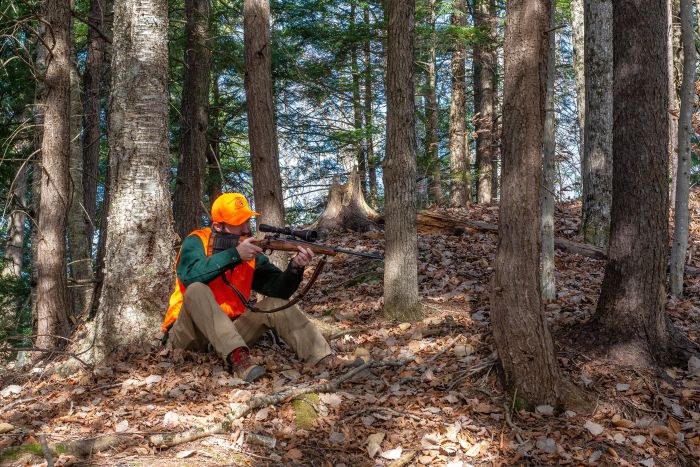 Vermont’s regular deer season starts Saturday, Nov. 15