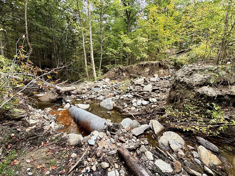Photo: Summer 2024 flooding. Courtesy photo