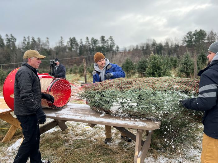 Whitcomb's Family Tree Farm in Essex Junction