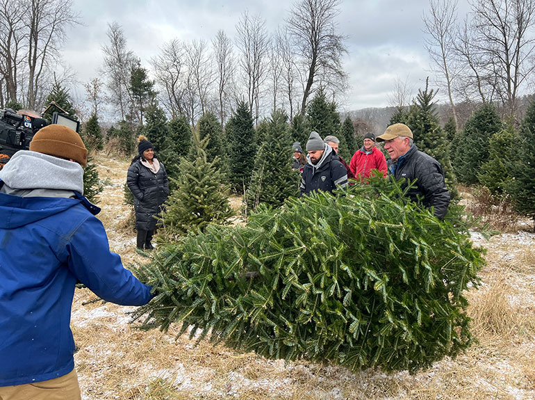 Photo: Gov. Scott cuts a Christmas tree for the state capital in Montpelier. Courtesy photo.