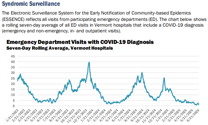 VDH: COVID-19 stays very low, but 2 deaths