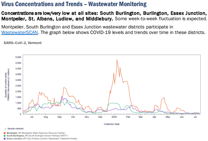 VDH: COVID-19 lingers at low level, deaths hold at 1,300