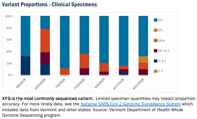 VDH: COVID hospitalizations fall after recent increase
