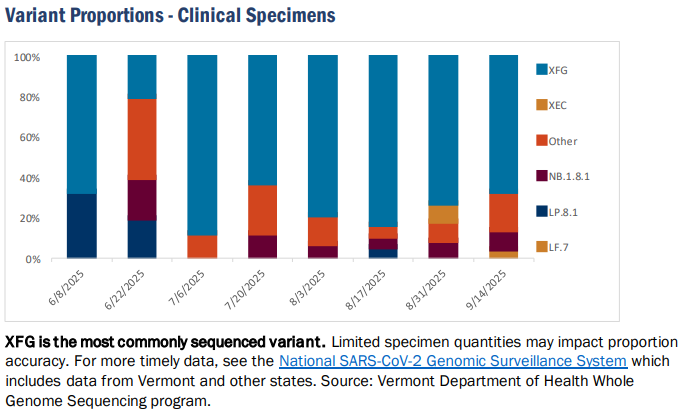 VDH: COVID-19 indicators decline