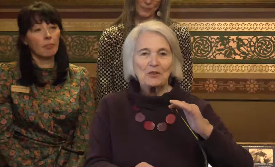 Senator Ginny Lyons, Chair of the Senate Health and Welfare Committee