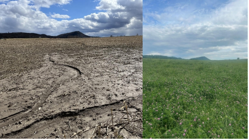 Vermont Clean Water Initiative 2025 Performance Report released