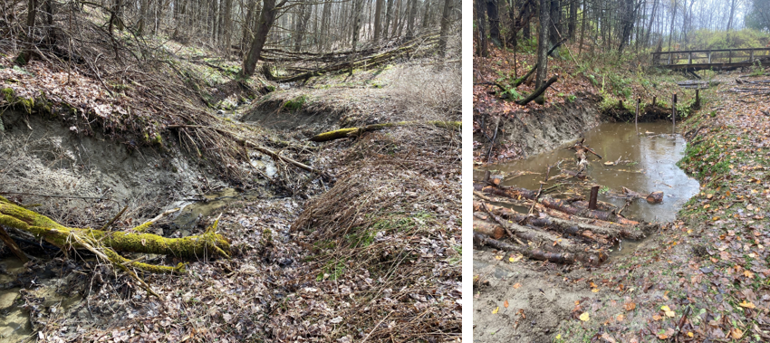 Wolcott Natural Area, Credit: Before, Fitzgerald Environmental; After, Winooski Valley Parks District