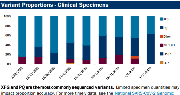 VDH: COVID low, no measles, flu and RSV still high