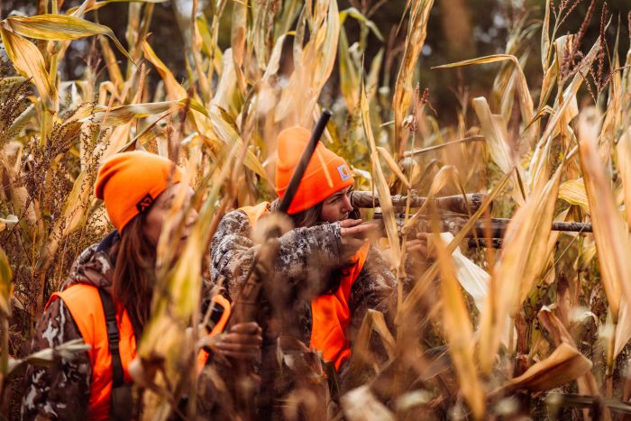 Vermont bear hunting starts in September