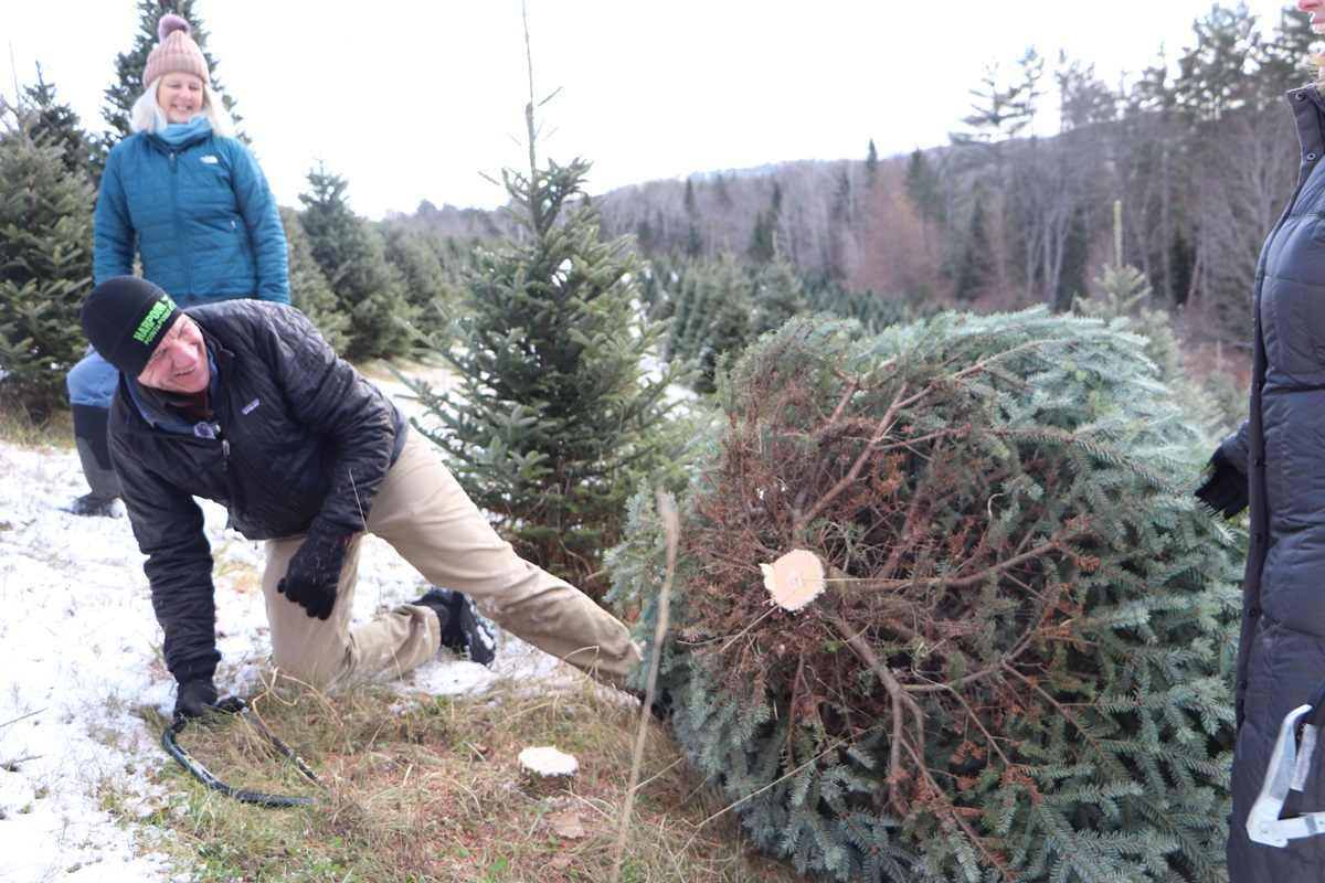 With the help of the Martin’s, the governor selected two Christmas trees to cut that will decorate the Pavilion Building in Montpelier.