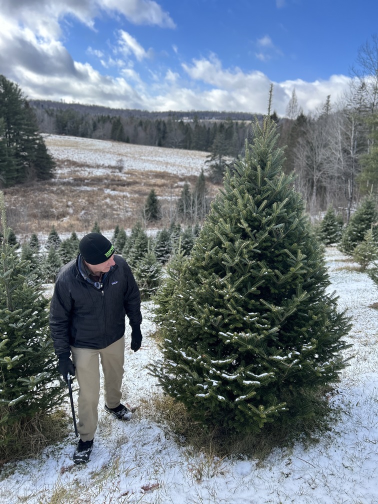 Martin’s Tree Farm