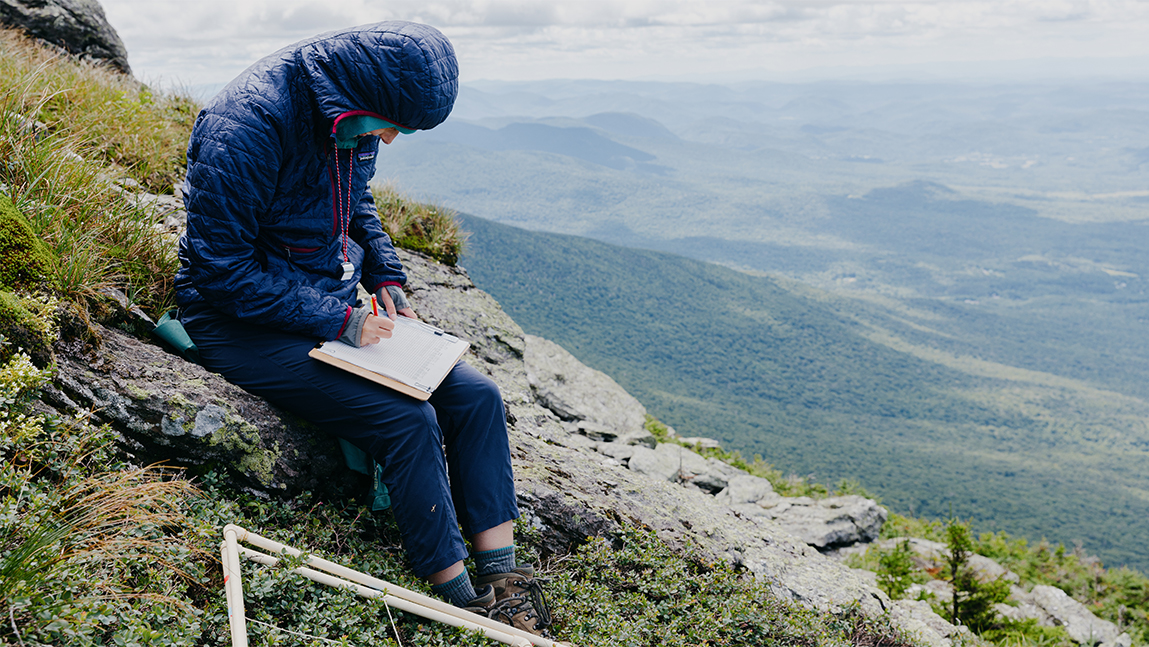 A UVM researcher studies the effects of climate change in Vermont. Photo credit: Joshua Defibaugh.
